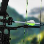 12 Pack Arrow Fletching with 2 Inch Vanes