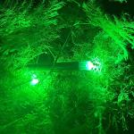 High-Capacity LED Bobber Light Battery - Green