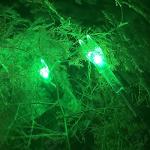 KEAUP Lighted Nocks for Arrows - 3 Pack