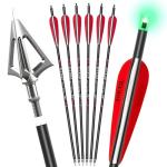 20-Inch Carbon Crossbow Bolts with Broadheads & Nocks