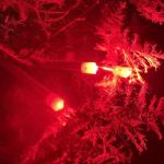 KEAUP 6 Pack Red LED Bobber Light Batteries