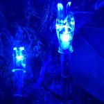 KEAUP Lighted Nocks for Arrows - 3 Pack (Blue)