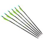 20-Inch Carbon Crossbow Bolts with Broadheads & Nocks