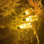 KEAUP 6-Pack Lighted Arrow Nocks .204 to .246