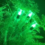 Lighted Crossbow Nocks 6-Pack with Bushings