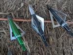 Fixed Blade Broadheads Assortment for Crossbows