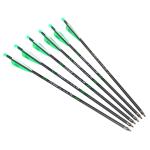 20-Inch Crossbow Bolts with Broadheads and Lighted Nocks