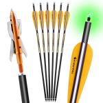 20-Inch Carbon Crossbow Bolts with 100 Grain Tips