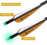 20-Inch Carbon Crossbow Bolts with Broadheads