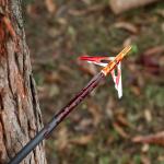 20-Inch Carbon Crossbow Bolts with Broadheads