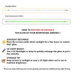 32-Inch Bowfishing Arrows with Broadheads - 6 Pack