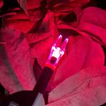 Lighted Nocks for Arrows - 6 Pack