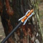 20-Inch Carbon Crossbow Bolts with Broadheads