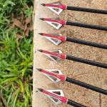LeeMui 12PK 100 Grain 3-Blade Broadheads