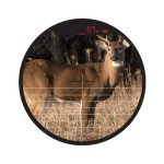 Burris Oracle X Rangefinder Crossbow Scope, Matte Black