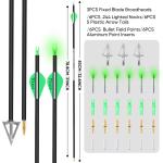 31 Inch Carbon Arrows with Broadheads and Lighted Nocks