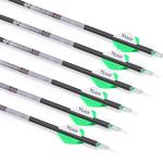 31 Inch Carbon Arrows with Broadheads and Lighted Nocks