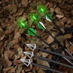 31 Inch Carbon Arrows with Broadheads and Lighted Nocks