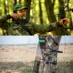 31 Inch Carbon Arrows with Broadheads and Lighted Nocks