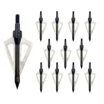 100 Grain 3-Blade Broadheads 12-Pack with Case