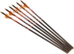 Ravin .003 Premium 20" Arrows Bolts 6-Pack