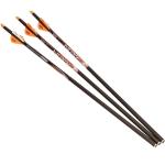 Ravin R133 Lighted 400 Grain Crossbow Arrows