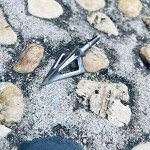 6 Pack 100 Grain Fixed Blade Broadhead Tips