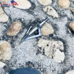 100 Grain Fixed Blade Broadhead 6 Pack