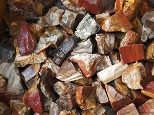 Fundamental Rockhound: Petrified Wood Rough Tumbling Rock from Madagascar (5 lb)