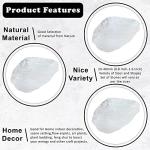 Crocon Clear Quartz Rough Bulk Natural Stone Raw Gemstone Tumbling Cabbing Polishing Gem Mining Energy Generator Chakra Balancing Reiki Healing Good Luck Home Office Decor Weight :-1Lb Approx