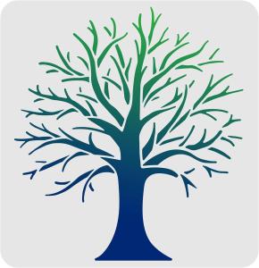 FINGERINSPIRE Tree Stencils Template 11.8x11.8inch Plastic Tree Branches Draw...