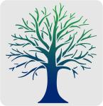 FINGERINSPIRE Tree Stencils Template 11.8x11.8inch Plastic Tree Branches Draw...