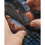 6" Hi-Tech Diamond Trim Saw for Lapidary Cutting