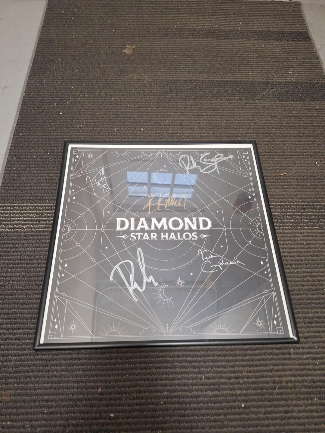 Def Leppard - Diamond Star Halos - Framed Signed Vinyl Record