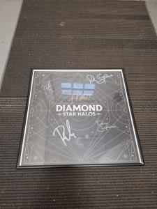Def Leppard - Diamond Star Halos - Framed Signed Vinyl Record