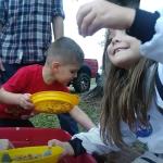 Crystal Point Gemstone Paydirt 2 Pack Special