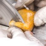 1PCS 7.1" inch 180mm Notched Rim 1.1mm Diamond Lapidary Rock Slab Saws Blade Cutting Trim Saw Blades Masonry Tools(25mm with Bushing 16)