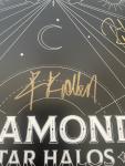 Def Leppard Diamond Star Halos Vinyl with Autographed Insert EXCELLENT CONDITION