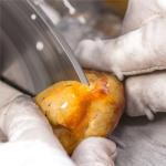 1PCS 7" inch 175mm Notched Rim 1.1mm Diamond Lapidary Rock Slab Saws Blade Cutting Trim Saw Blades Masonry Tools(25.4mm)