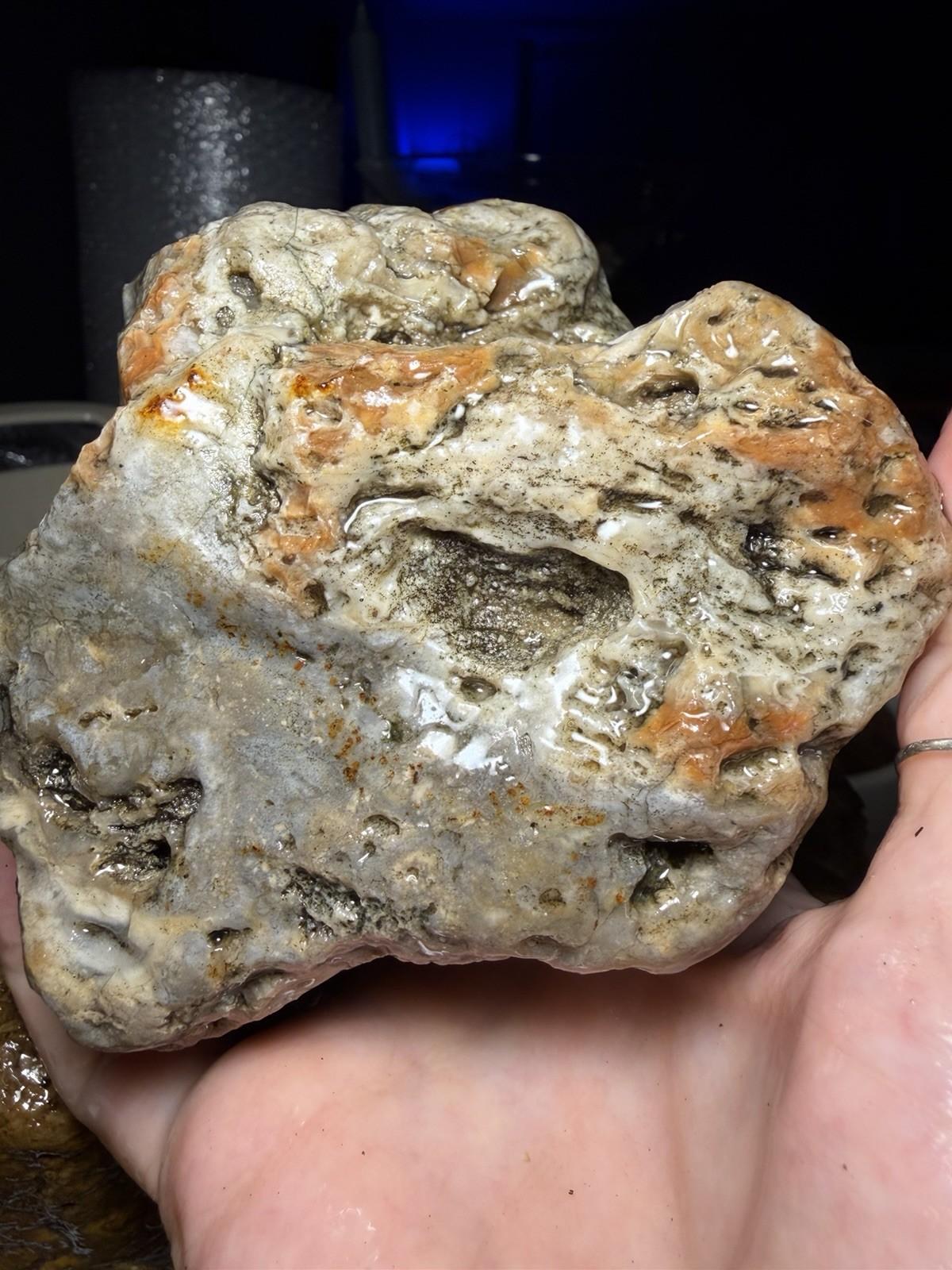 Cold Water Agate Gemstone Minnesota Lapidary Rough Limonite 2lb+ Display