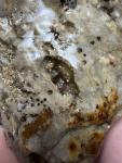 Cold Water Agate Gemstone Minnesota Lapidary Rough Limonite 2lb+ Display