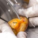 10" Lapidary Saw Diamond Blade 16mm Arbor Hole Thin Notched Rim for Cutting Rock