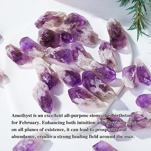 1/2 lb Natural Amethyst Crystal Points Bulk