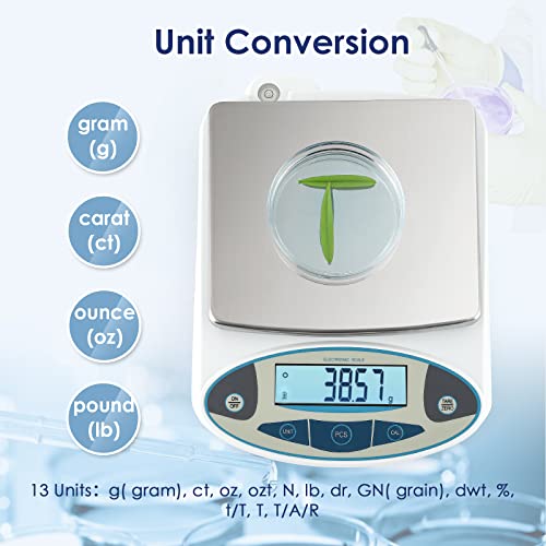 Precision Digital Lab Analytical Balance for Lapidary Jewelry