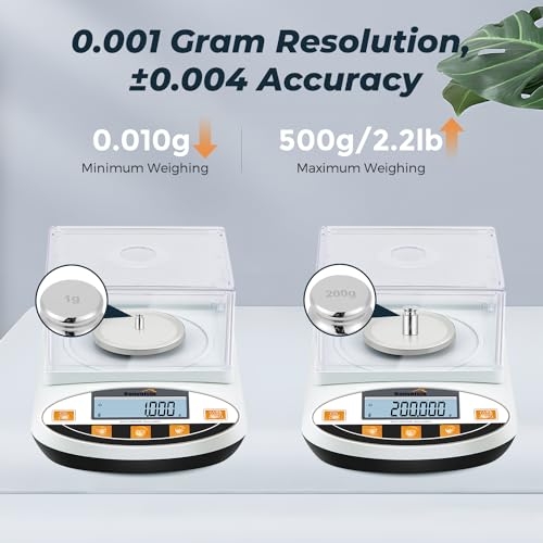 High Precision 500g Lab Scale for Jewelry Weighing
