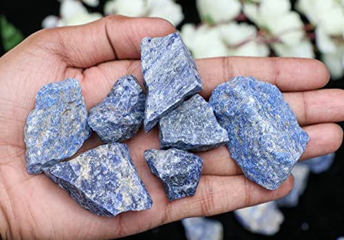 ZAICUS Lapis Lazuli Rough Stones Bulk, Raw Gemstones, Tumbling Bulk, Jewelry Making, Polishing, Cabbing, Lapidary, Fountain Rocks, Decoration, Wire Wrapping, Gem Mining, Reiki Healing 1 lb