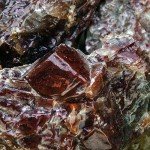 Beverly Oaks 1 lb Red Calcite Healing Crystals - Rough Raw Natural for Cabbing, Cutting, Lapidary, Reiki, Tumbling, and Polishing (1lb Bulk)