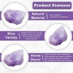 BEZAVO Amethyst Rough Stones - 1 lb Raw Crystals for Tumbling, Jewelry Making, Polishing, Cabbing, Lapidary, Fountain Rocks, Decoration, Gem Mining, Wire Wrapping, and Reiki Healing