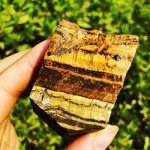 Simurg Raw Tiger Eyes Stone 1lb ''A'' Grade Tiger Eyes Rough Crysta Rocks for Cabbing, Tumbling, Cutting, Lapidary, Polishing, Reiki Crystal Healing
