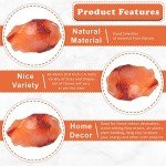 ZAICUS Carnelian Raw Gemstones, Rough Crystals and Stones for Tumbling Bulk, Jewelry Making, Polishing, Cabbing, Lapidary, Fountain Rocks, Decoration, Wire Wrapping, Gem Mining, Reiki Healing 1 lb